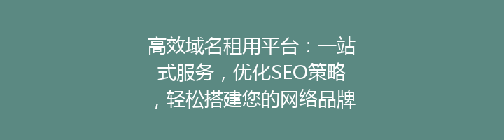高效域名租用平台：一站式服务，优化SEO策略，轻松搭建您的网络品牌