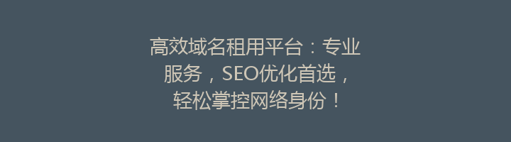 高效域名租用平台:专业服务,SEO优化首选,轻松掌控网络身份!