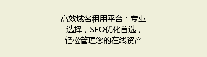 高效域名租用平台:专业选择,SEO优化首选,轻松管理您的在线资产