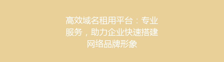 高效域名租用平台:专业服务,助力企业快速搭建网络品牌形象