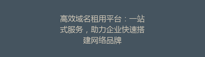 高效域名租用平台:一站式服务,助力企业快速搭建网络品牌