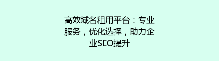 高效域名租用平台：专业服务，优化选择，助力企业SEO提升