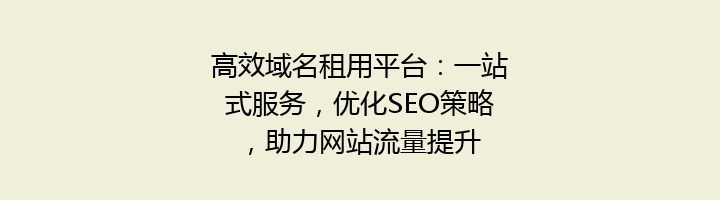 高效域名租用平台:一站式服务,优化SEO策略,助力网站流量提升