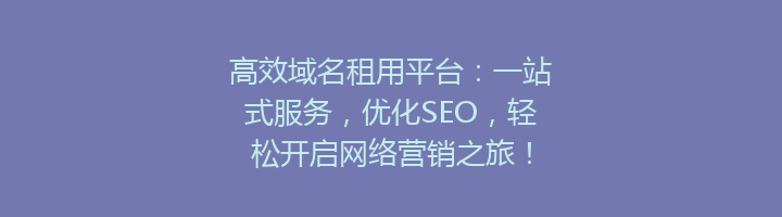 高效域名租用平台：一站式服务，优化SEO，轻松开启网络营销之旅！