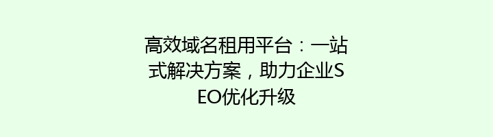 高效域名租用平台:一站式解决方案,助力企业SEO优化升级