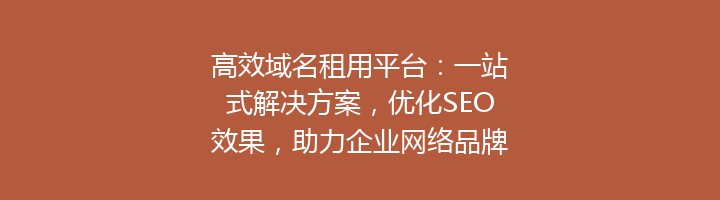 高效域名租用平台：一站式解决方案，优化SEO效果，助力企业网络品牌建设