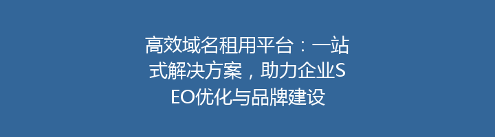 高效域名租用平台:一站式解决方案,助力企业SEO优化与品牌建设