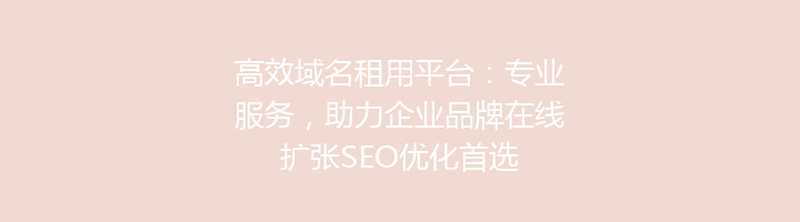 高效域名租用平台:专业服务,助力企业品牌在线扩张SEO优化首选