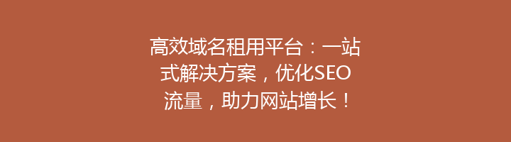 高效域名租用平台：一站式解决方案，优化SEO流量，助力网站增长！