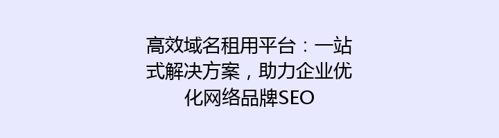 高效域名租用平台:一站式解决方案,助力企业优化网络品牌SEO