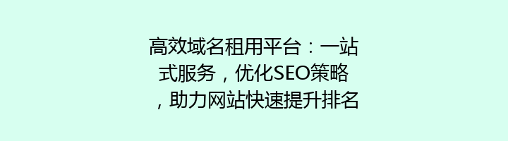 高效域名租用平台：一站式服务，优化SEO策略，助力网站快速提升排名