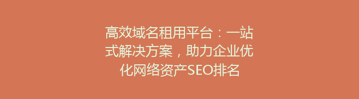 高效域名租用平台:一站式解决方案,助力企业优化网络资产SEO排名