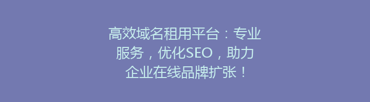 高效域名租用平台:专业服务,优化SEO,助力企业在线品牌扩张!
