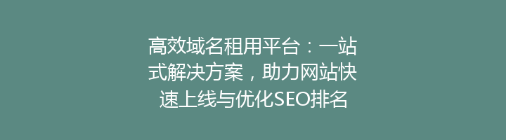 高效域名租用平台:一站式解决方案,助力网站快速上线与优化SEO排名