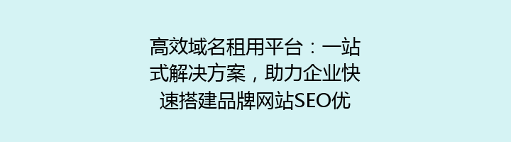 高效域名租用平台:一站式解决方案,助力企业快速搭建品牌网站SEO优化