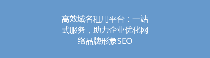 高效域名租用平台：一站式服务，助力企业优化网络品牌形象SEO