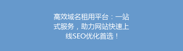 高效域名租用平台：一站式服务，助力网站快速上线SEO优化首选！