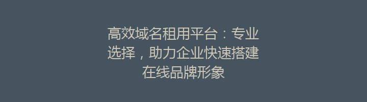 高效域名租用平台：专业选择，助力企业快速搭建在线品牌形象
