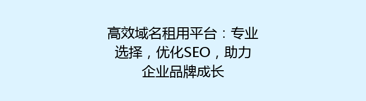 高效域名租用平台:专业选择,优化SEO,助力企业品牌成长