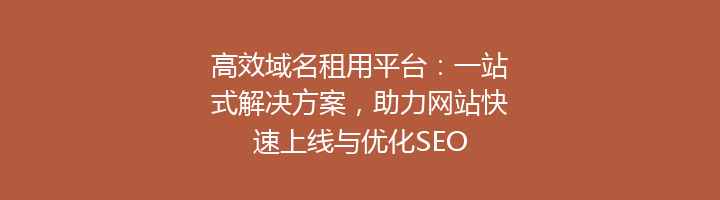 高效域名租用平台:一站式解决方案,助力网站快速上线与优化SEO