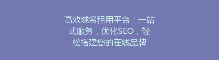 高效域名租用平台：一站式服务，优化SEO，轻松搭建您的在线品牌