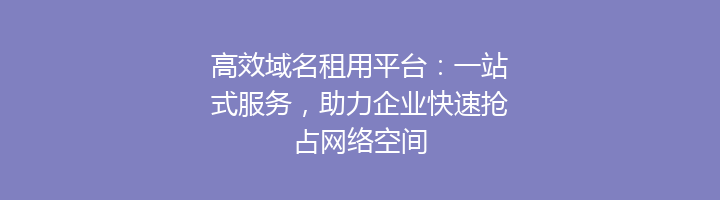 高效域名租用平台:一站式服务,助力企业快速抢占网络空间