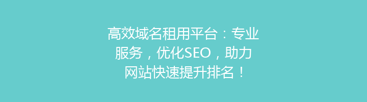高效域名租用平台：专业服务，优化SEO，助力网站快速提升排名！