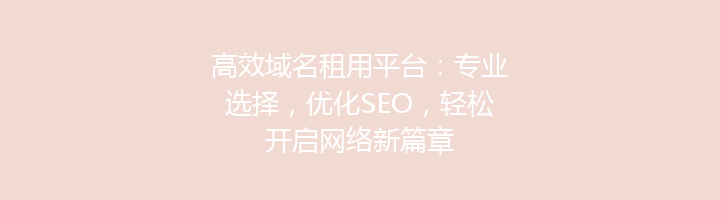 高效域名租用平台:专业选择,优化SEO,轻松开启网络新篇章