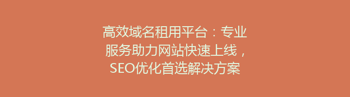 高效域名租用平台:专业服务助力网站快速上线,SEO优化首选解决方案