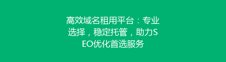 高效域名租用平台:专业选择,稳定托管,助力SEO优化首选服务