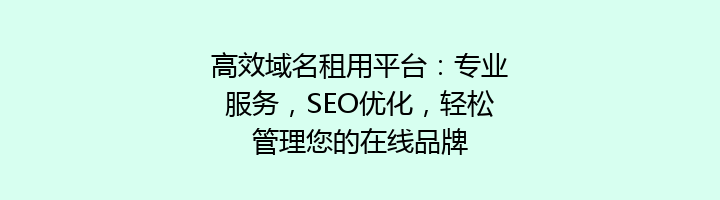 高效域名租用平台:专业服务,SEO优化,轻松管理您的在线品牌