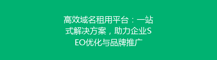 高效域名租用平台：一站式解决方案，助力企业SEO优化与品牌推广
