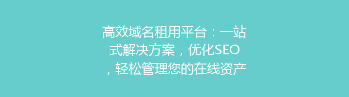 高效域名租用平台:一站式解决方案,优化SEO,轻松管理您的在线资产