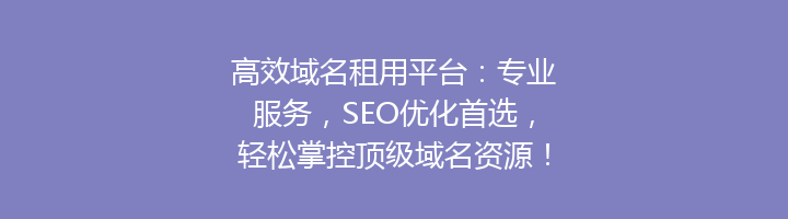 高效域名租用平台：专业服务，SEO优化首选，轻松掌控顶级域名资源！