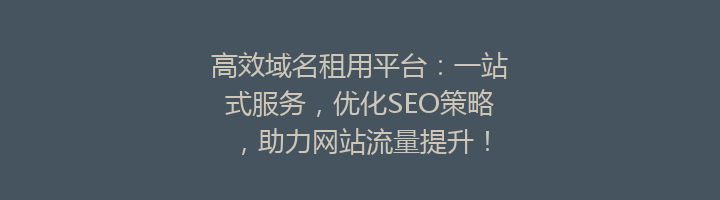 高效域名租用平台：一站式服务，优化SEO策略，助力网站流量提升！