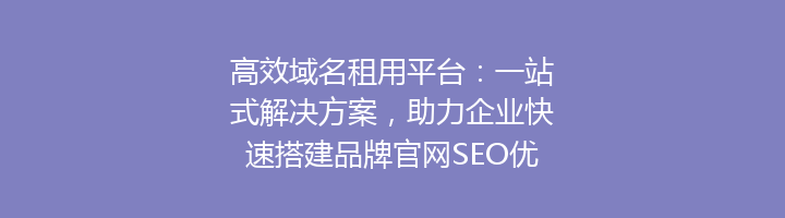 高效域名租用平台:一站式解决方案,助力企业快速搭建品牌官网SEO优化首选!