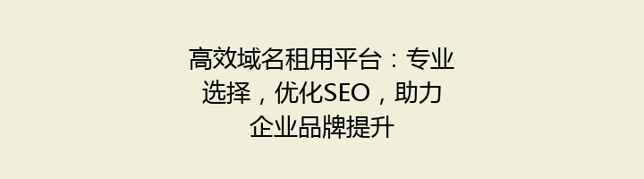 高效域名租用平台:专业选择,优化SEO,助力企业品牌提升