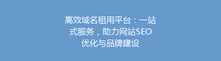 高效域名租用平台:一站式服务,助力网站SEO优化与品牌建设