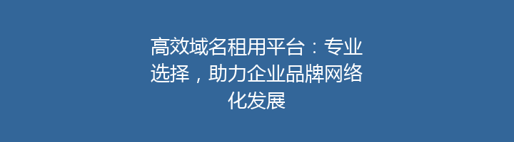 高效域名租用平台：专业选择，助力企业品牌网络化发展