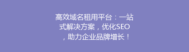 高效域名租用平台:一站式解决方案,优化SEO,助力企业品牌增长!