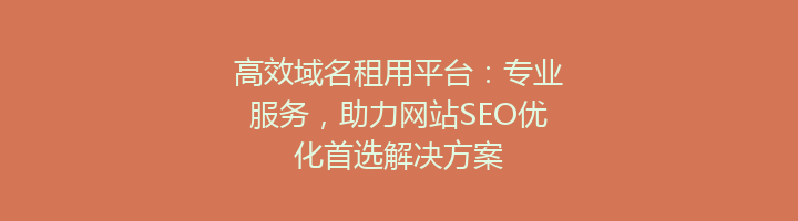 高效域名租用平台：专业服务，助力网站SEO优化首选解决方案