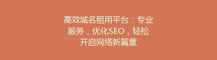 高效域名租用平台：专业服务，优化SEO，轻松开启网络新篇章