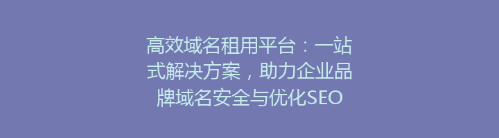 高效域名租用平台：一站式解决方案，助力企业品牌域名安全与优化SEO策略