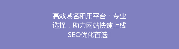 高效域名租用平台：专业选择，助力网站快速上线SEO优化首选！