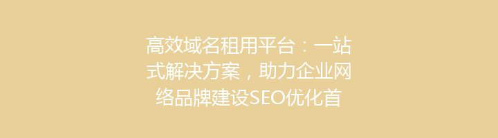 高效域名租用平台:一站式解决方案,助力企业网络品牌建设SEO优化首选
