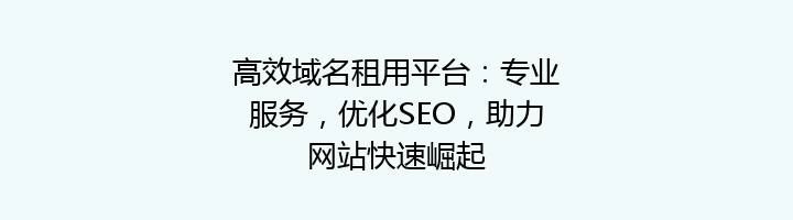 高效域名租用平台：专业服务，优化SEO，助力网站快速崛起