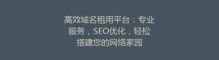 高效域名租用平台：专业服务，SEO优化，轻松搭建您的网络家园