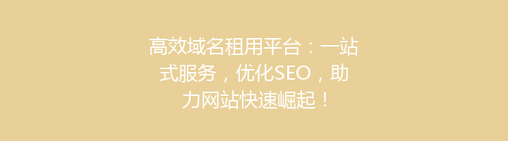高效域名租用平台：一站式服务，优化SEO，助力网站快速崛起！