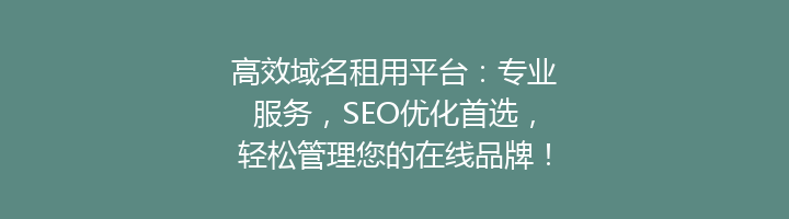 高效域名租用平台:专业服务,SEO优化首选,轻松管理您的在线品牌!