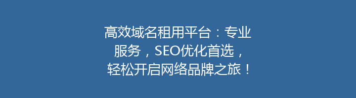 高效域名租用平台：专业服务，SEO优化首选，轻松开启网络品牌之旅！